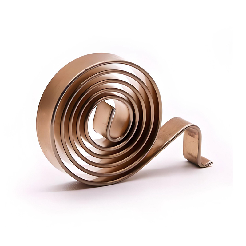 Spiraltorsionsfedern